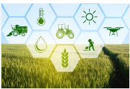 Agriculture